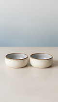 Ceramic Pet Bowl Set with Weighted Base